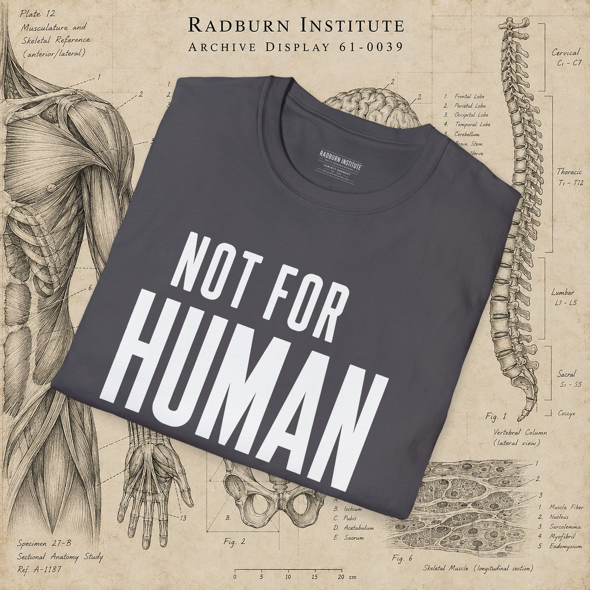 NOT FOR HUMAN USE Garment in charcoal, shown in a product or model view | color:Charcoal