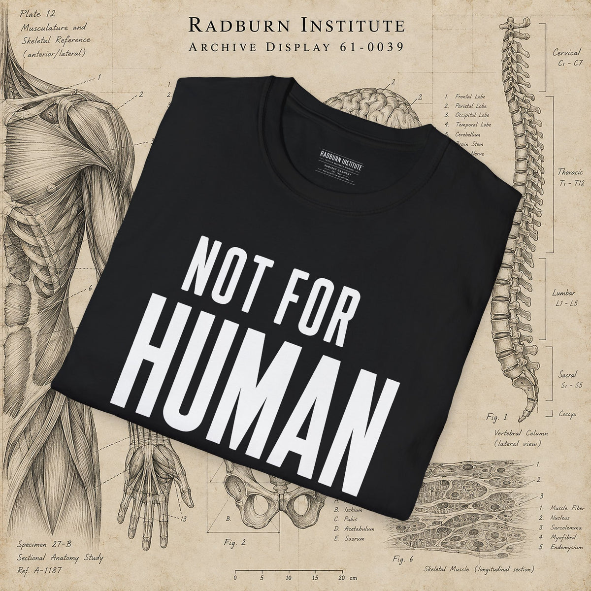 NOT FOR HUMAN USE Garment in black, shown in a product or model view | color:Black