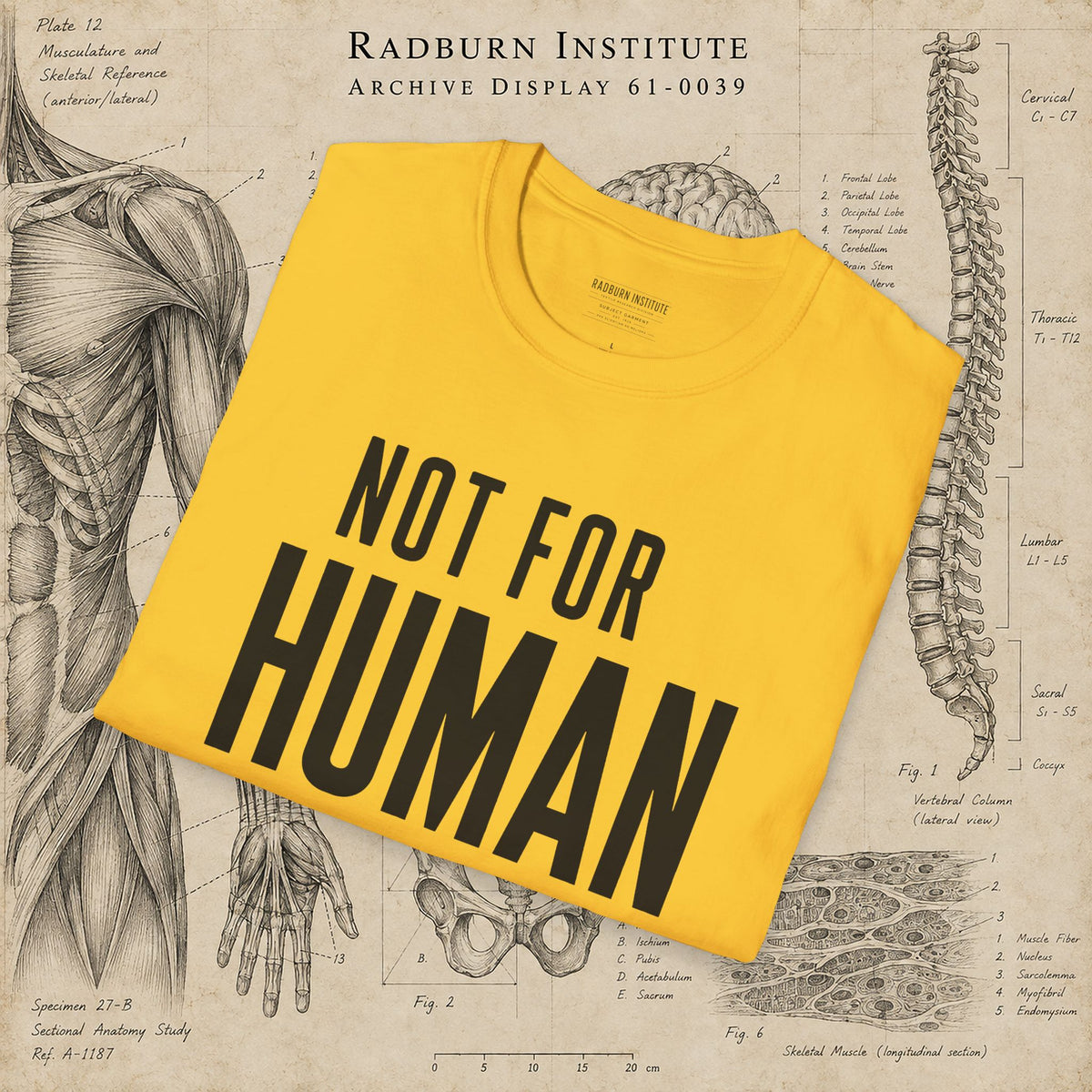 NOT FOR HUMAN USE Garment in daisy, shown in a product or model view | color:Daisy